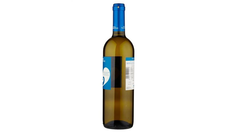Cantina Valtidone Viti&vini Ortrugo Dei Colli Piacentini D.o.c.