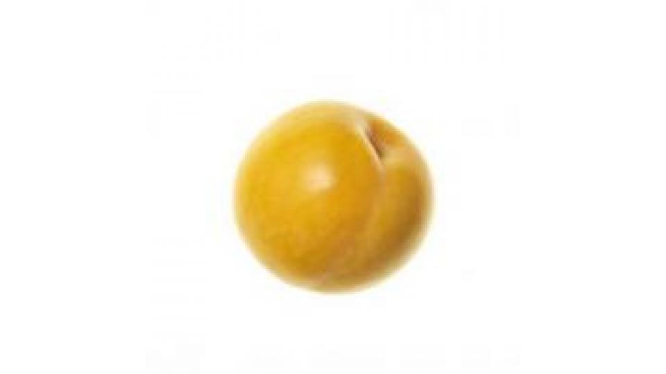 Susine Gialle