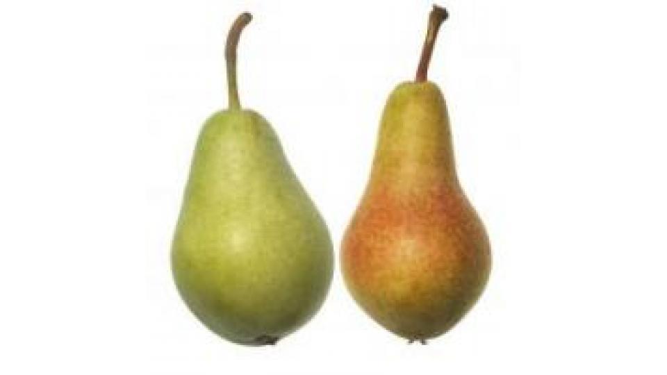 Pere Etrusca