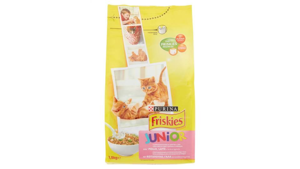Purina, gatto Friskies crocchette Junior con pollo, latte e verdure aggiunte