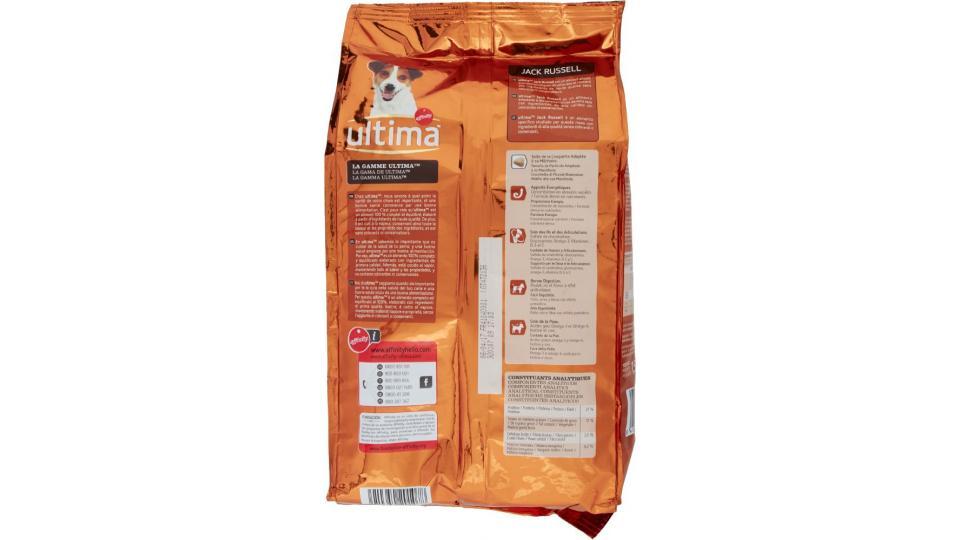 Ultima, cane Jack Russel alimento con pollo