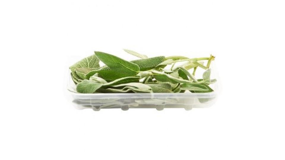 Salvia, confezionata