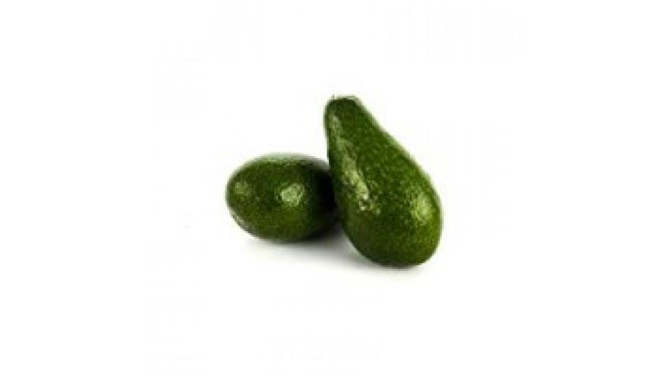 AVOCADOS