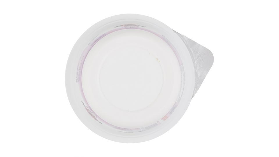 Fage - Yogurt Bianco Total 0%