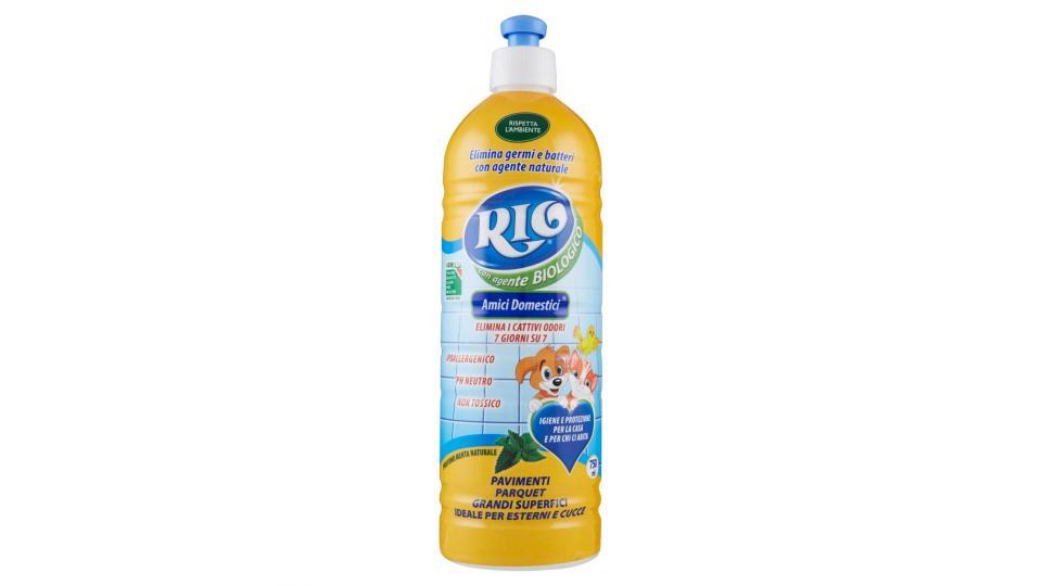 Rio bum bum pavimenti lavanda