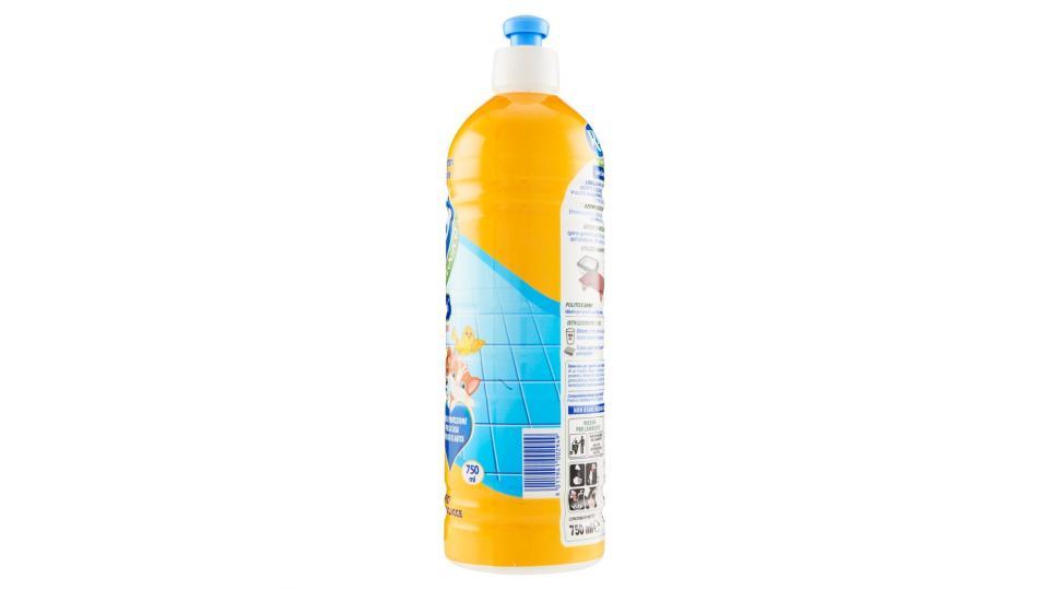 Rio bum bum pavimenti lavanda