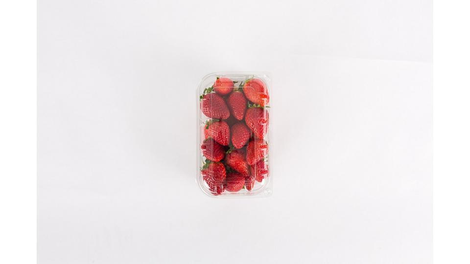 Fragole gr.