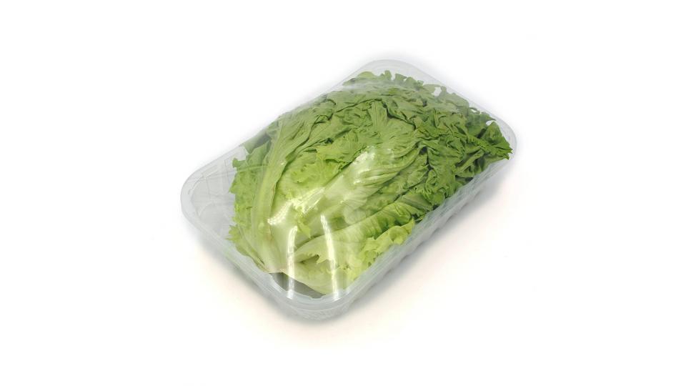 INSALATA GENTILE confezionata