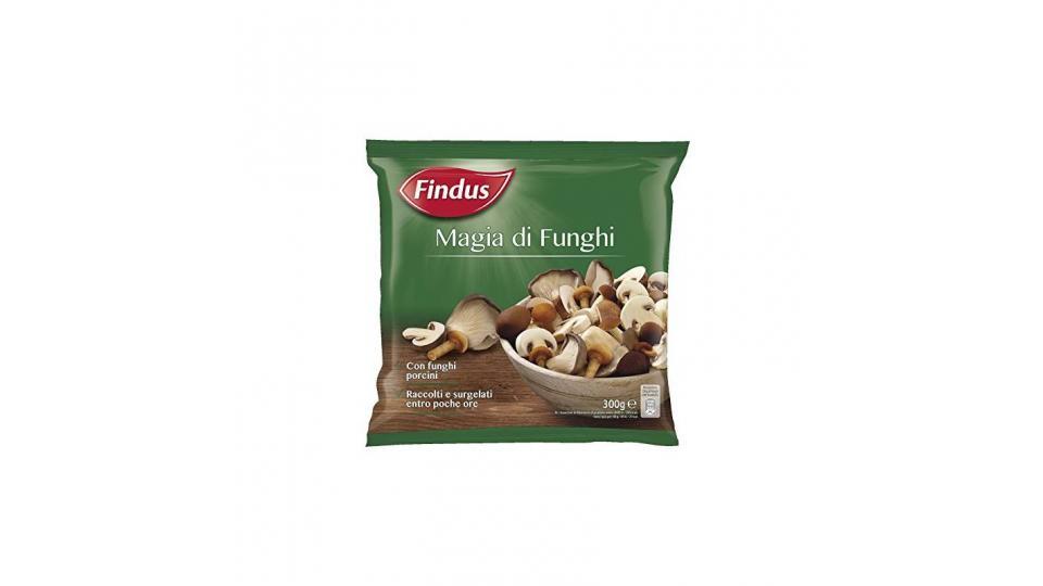 Findus - Magia Di Funghi