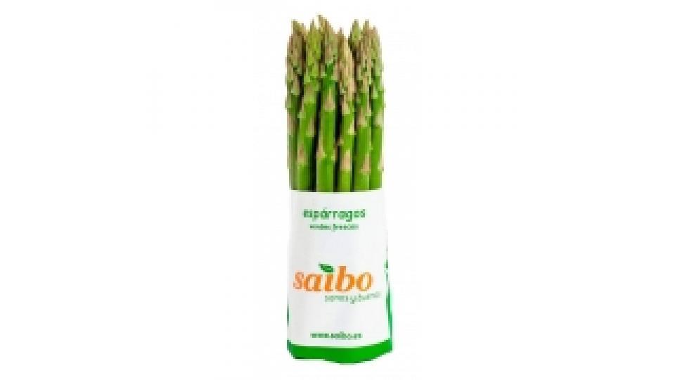 Asparagi"i""12/16 