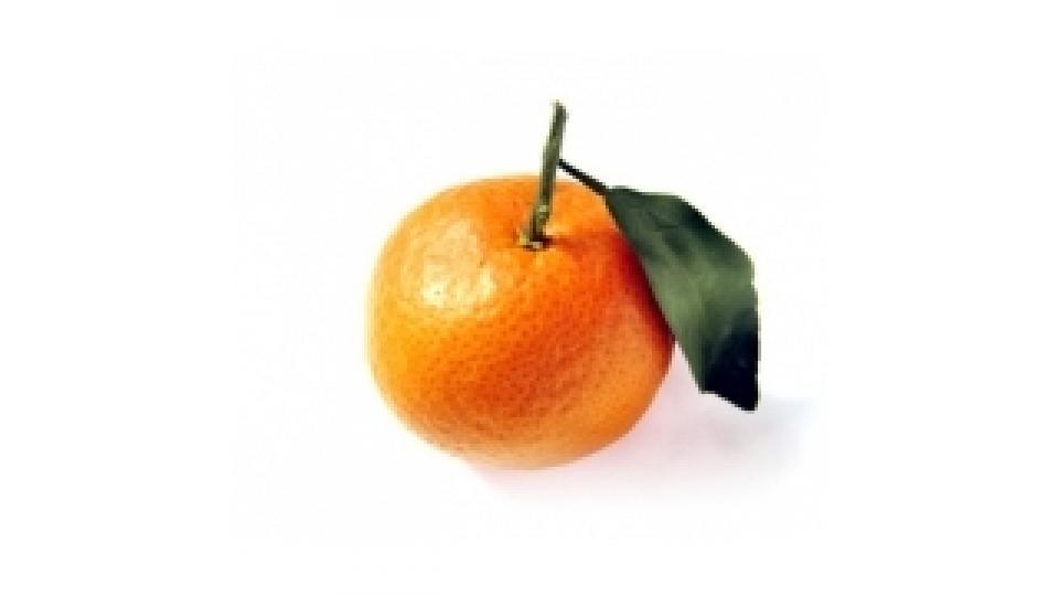 Clementine