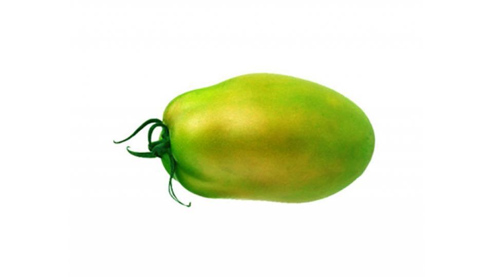 Pomodoro Oblungo Verde  It 50-55 I^ Vh 