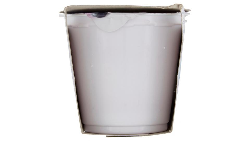Probiotico con Mirtilli