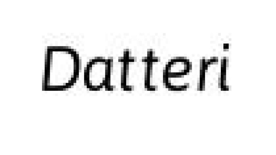 Datteroni Premium Selection