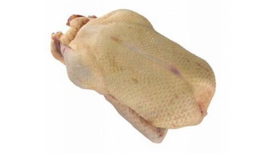 Anatra a Busto