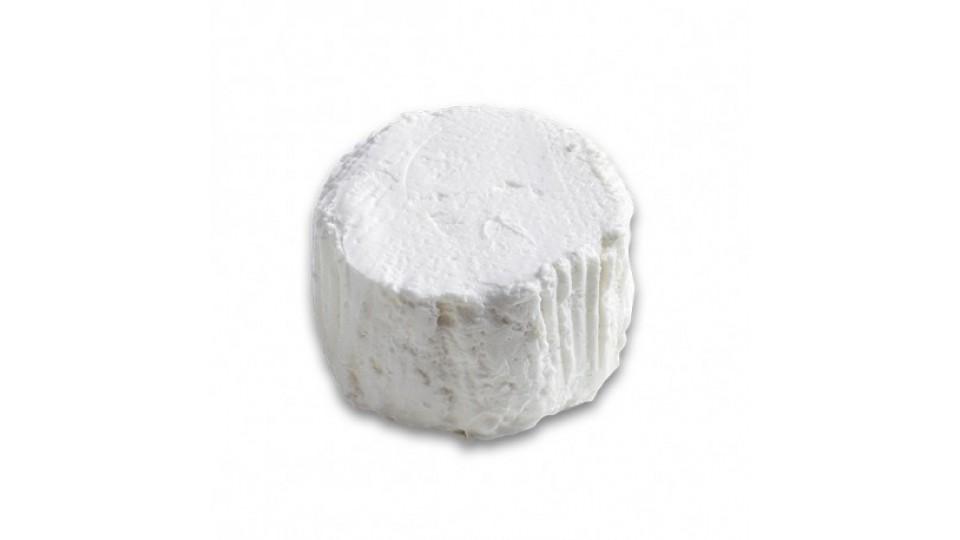ROBIOLA OCCELLI MINI