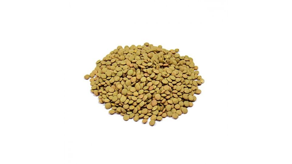 Lenticchia Grande 