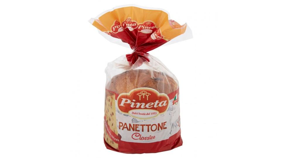 Panettone Classico