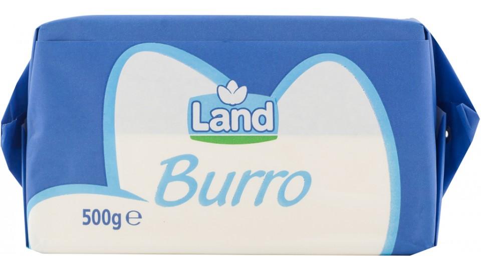Burro