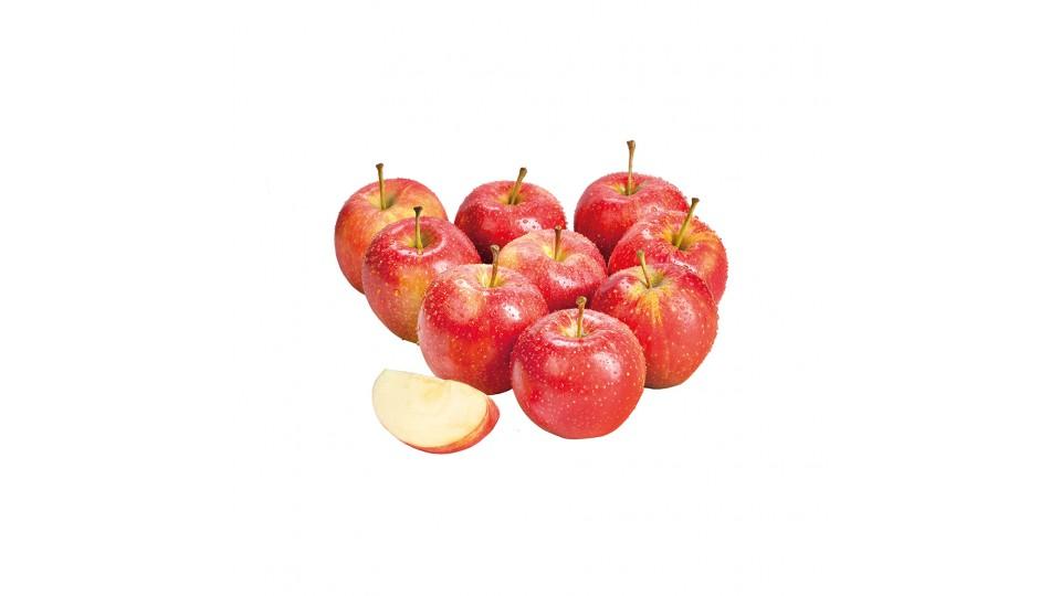 Mini Mele Rosse Var. Gala