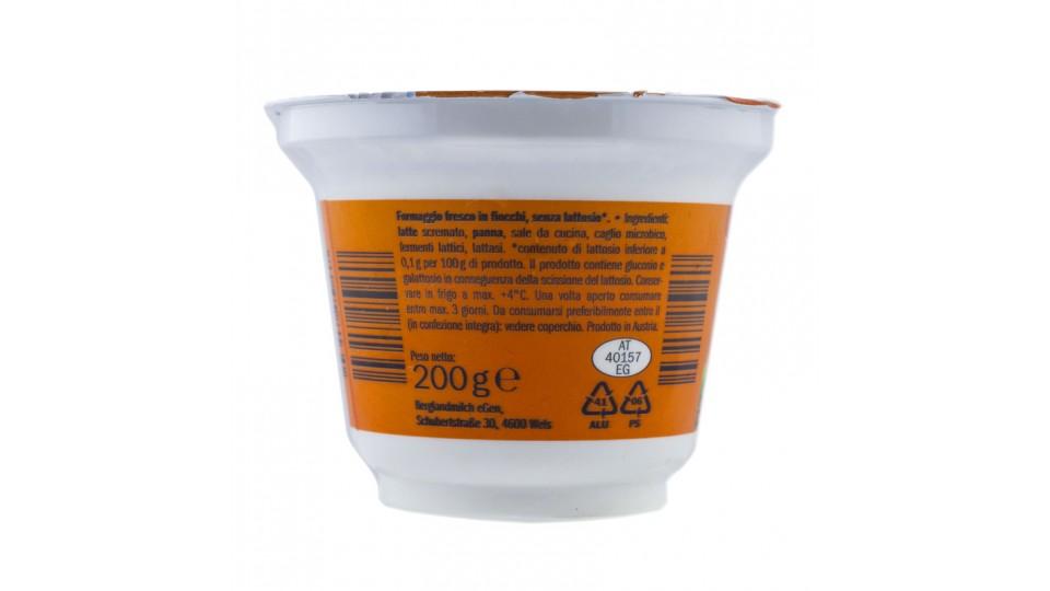 Fiocchi di Latte senza Lattosio