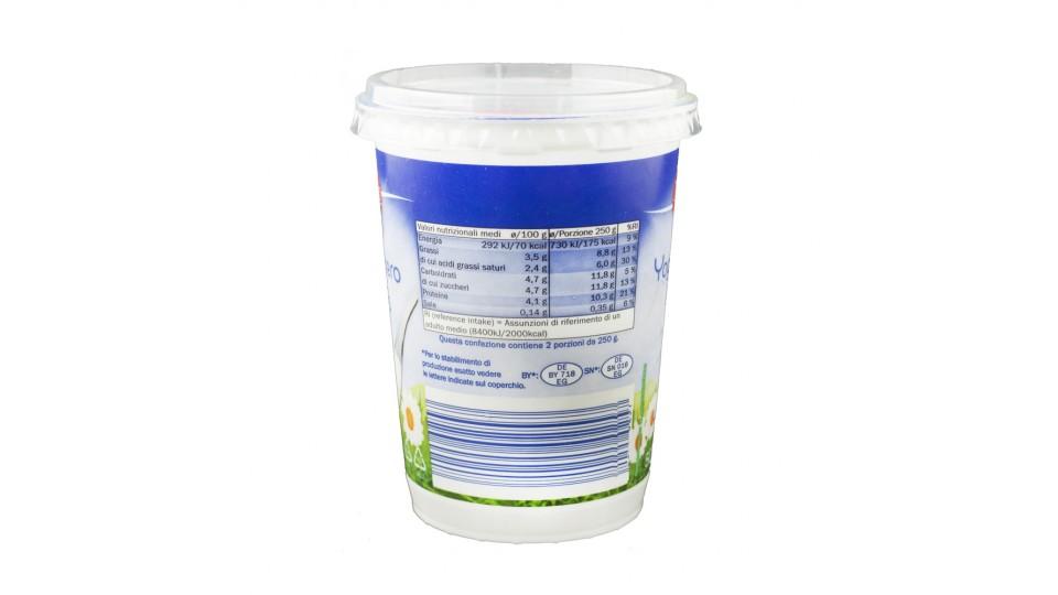 Yogurt Bianco Intero 3,5% Grassi