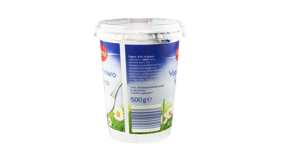 Yogurt Bianco Intero 3,5% Grassi