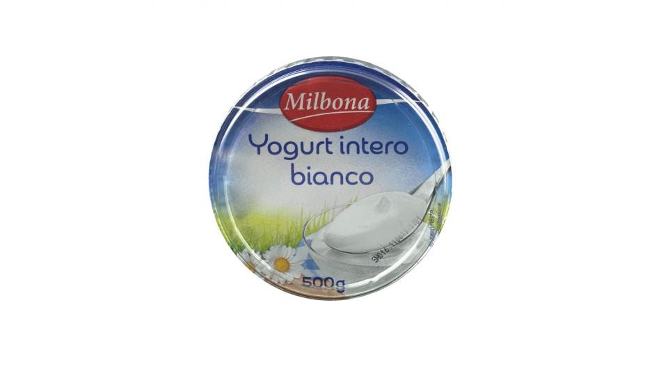 Yogurt Bianco Intero 3,5% Grassi