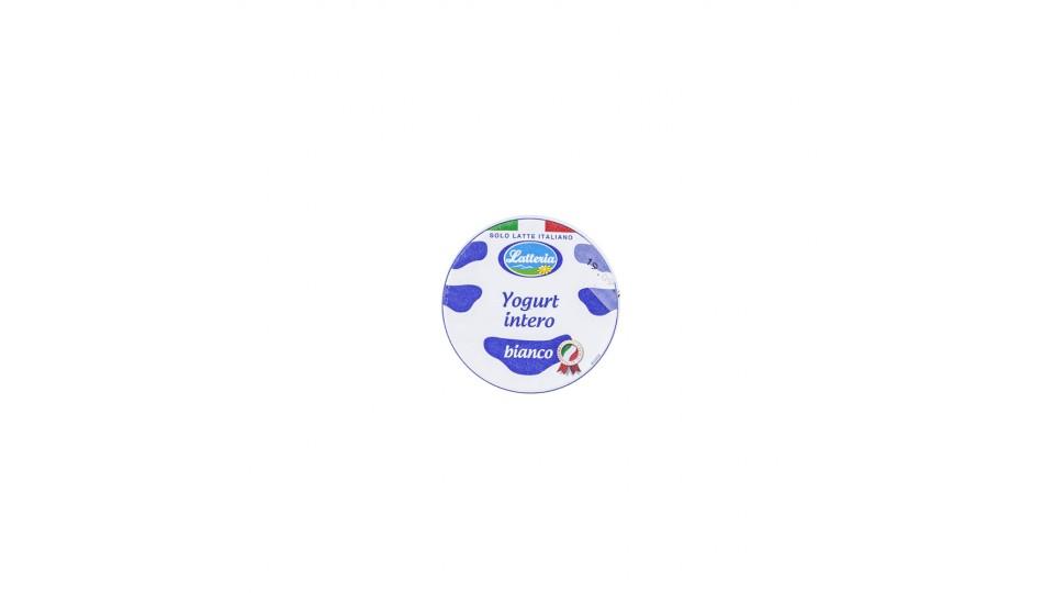 Yogurt Bianco Intero Solo Latte Italiano