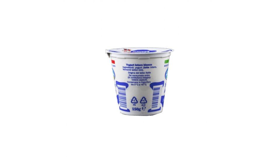 Yogurt Bianco Intero Solo Latte Italiano