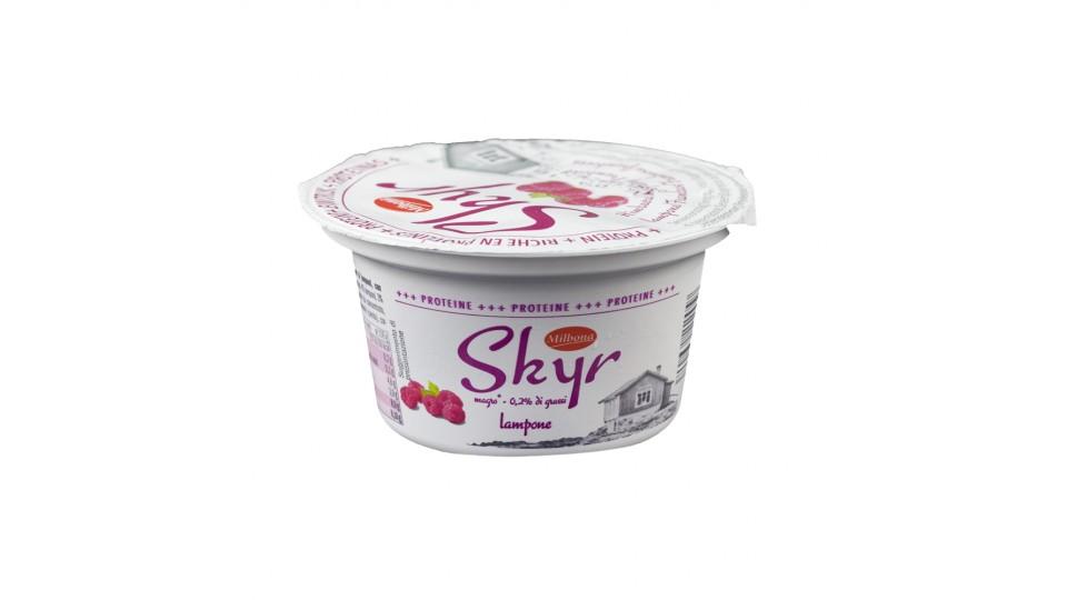 Skyr al Lampone