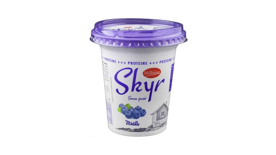 Skyr ai Mirtilli