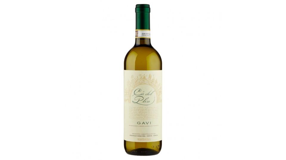 Gavi Docg