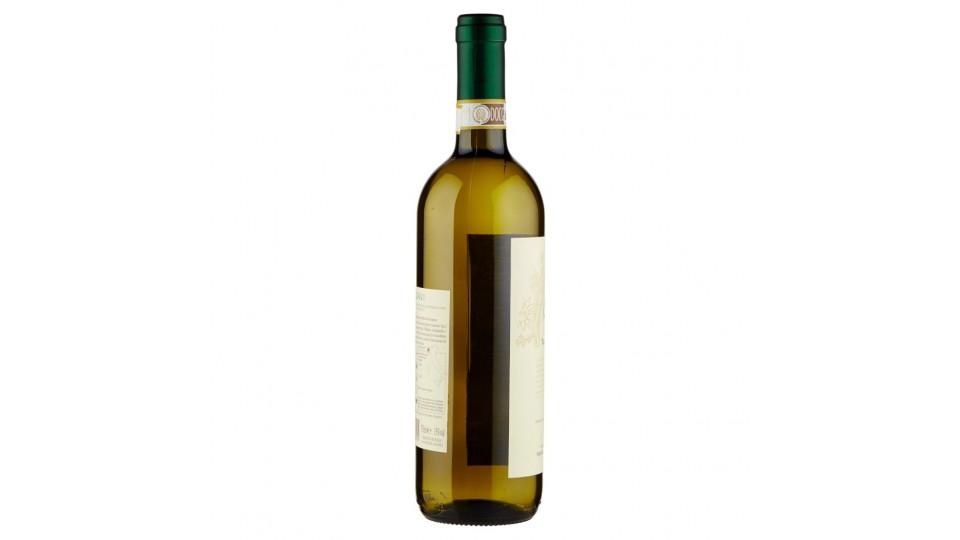 Gavi Docg