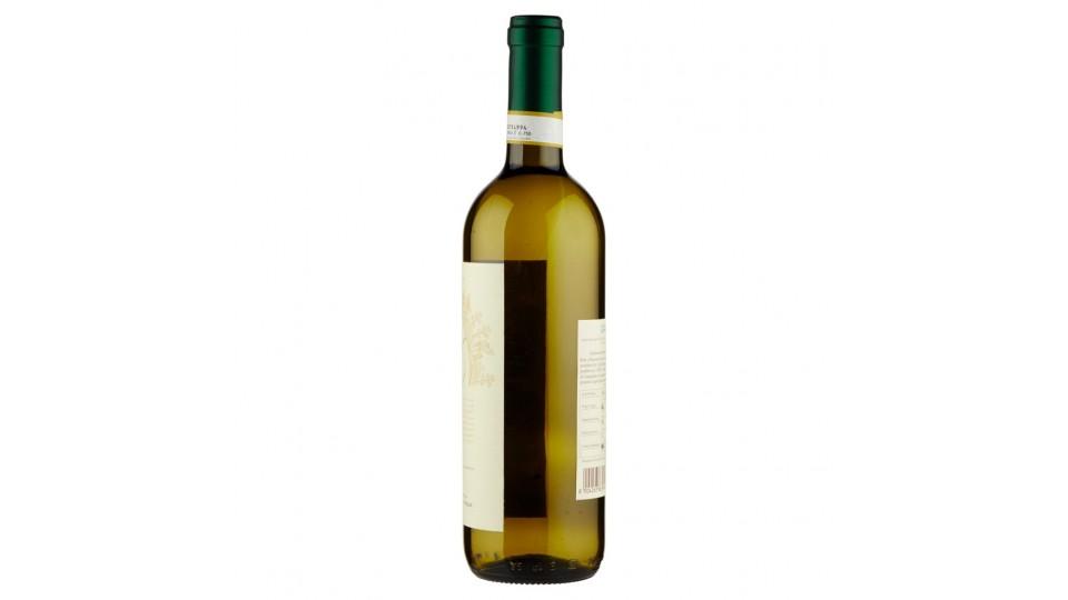 Gavi Docg