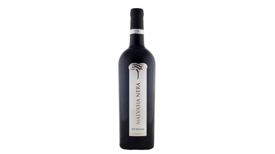 Malvasia Nera Igp