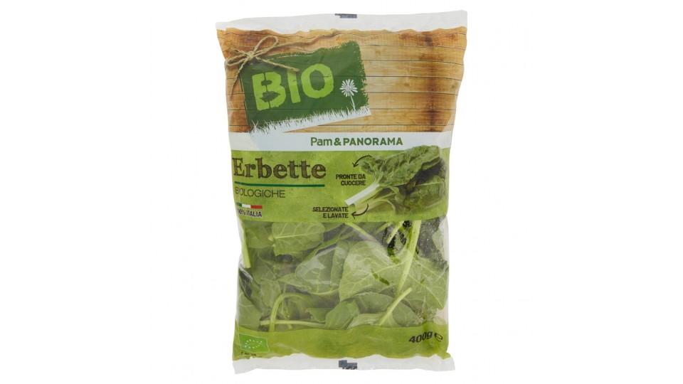 Erbette Logiche
