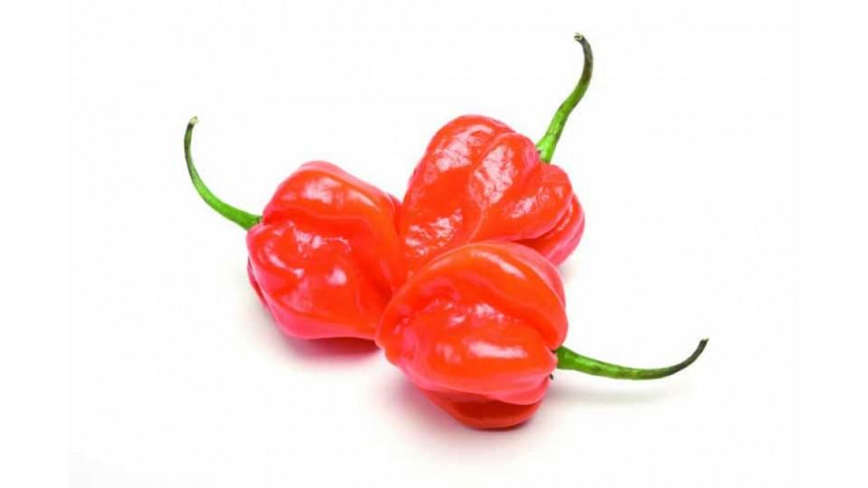 Peperoncini Scotch Bonnet
