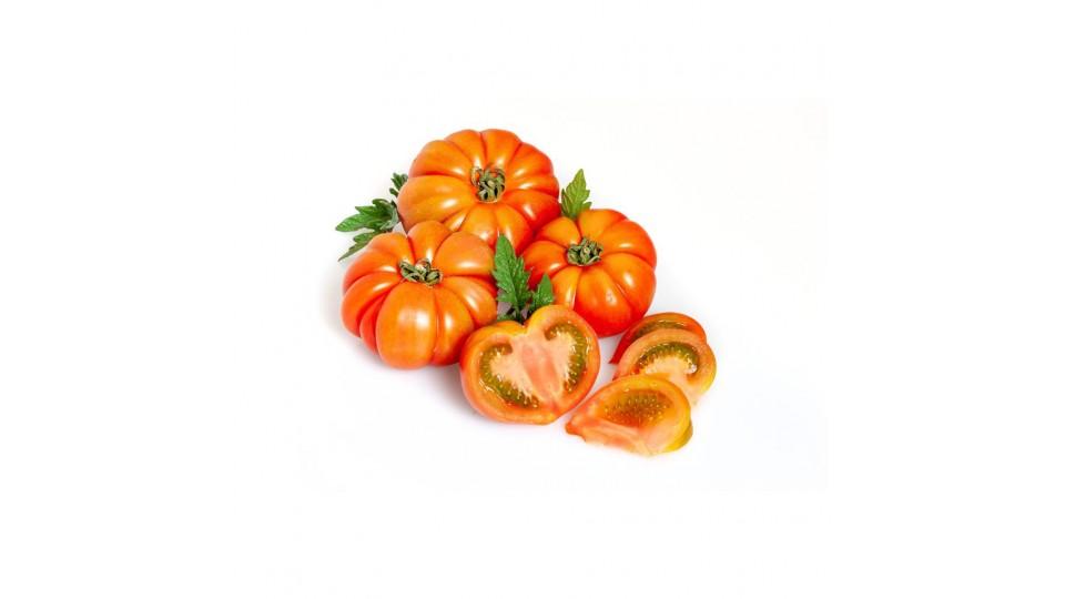 Pomodoro Semicostoluto Igp