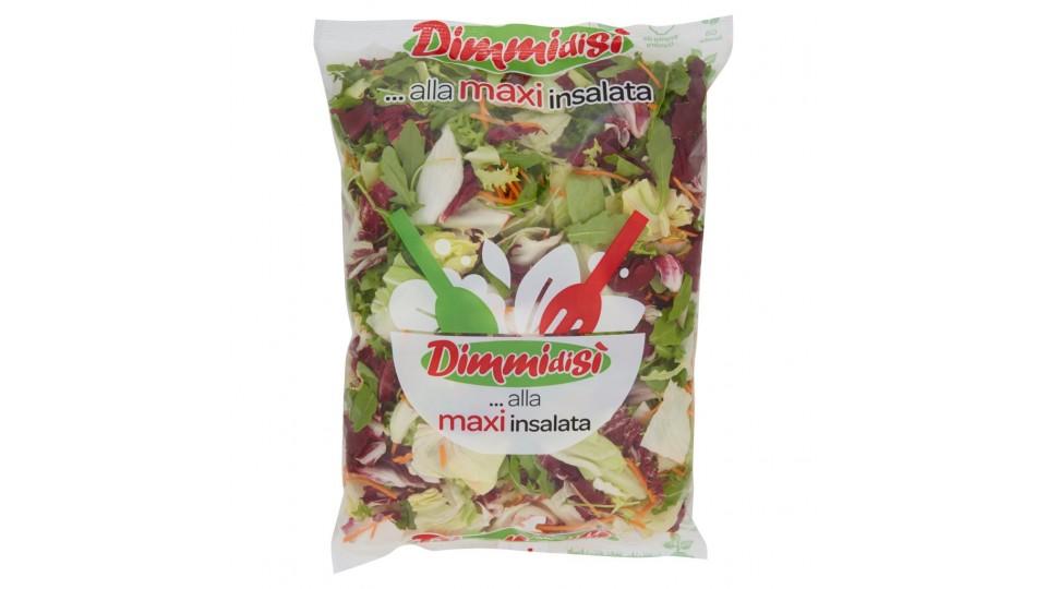 ... alla Maxi Insalata Contadina
