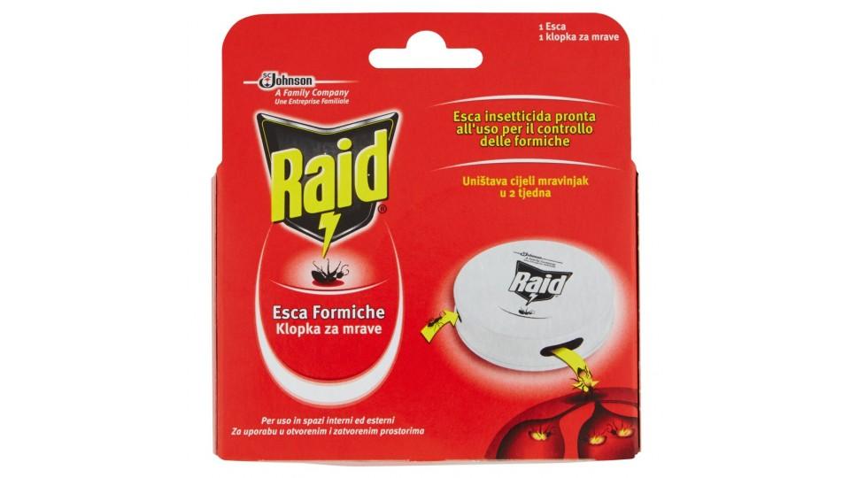 Esca Formiche