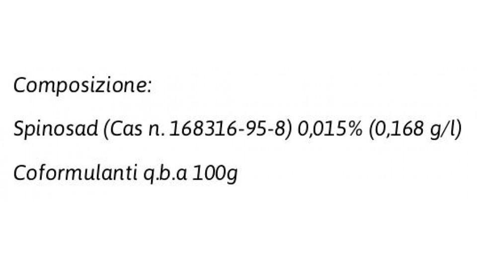 Esca Formiche