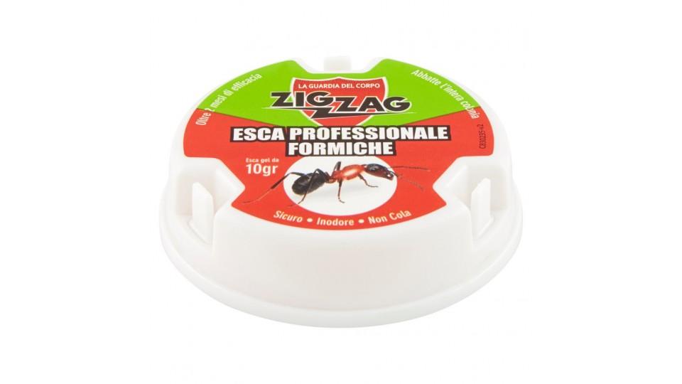 Zig Zag Esca Antiformiche