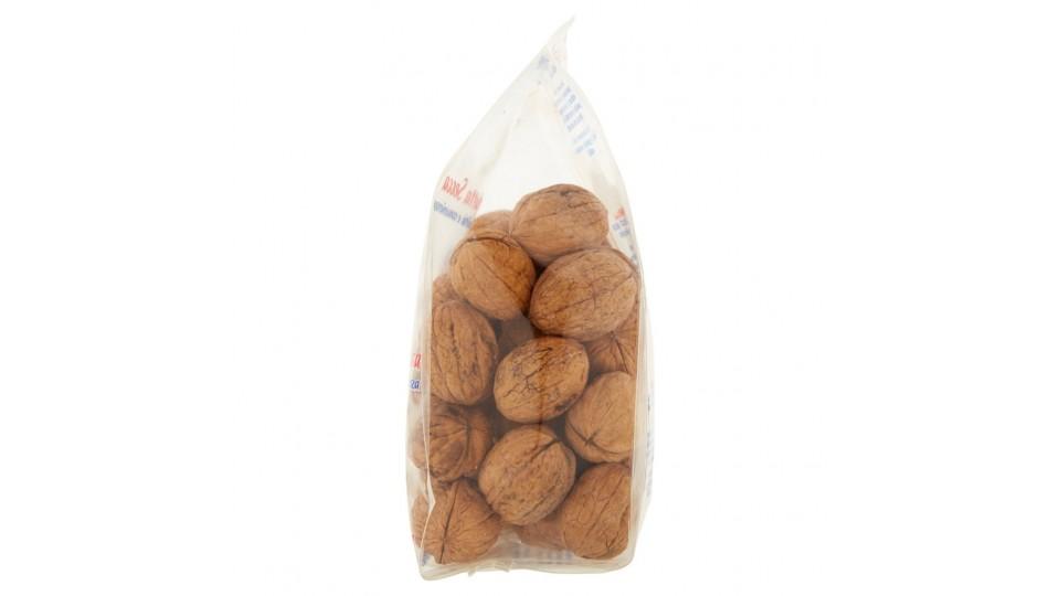 Noci in Guscio