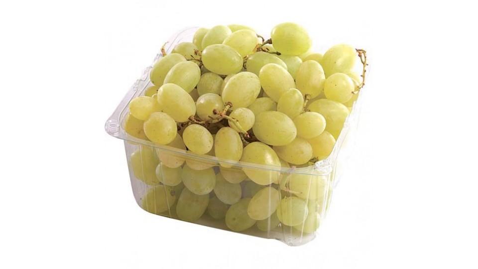 Uva Italia Bio 