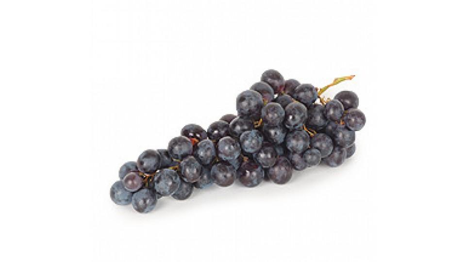 Uva Palieri