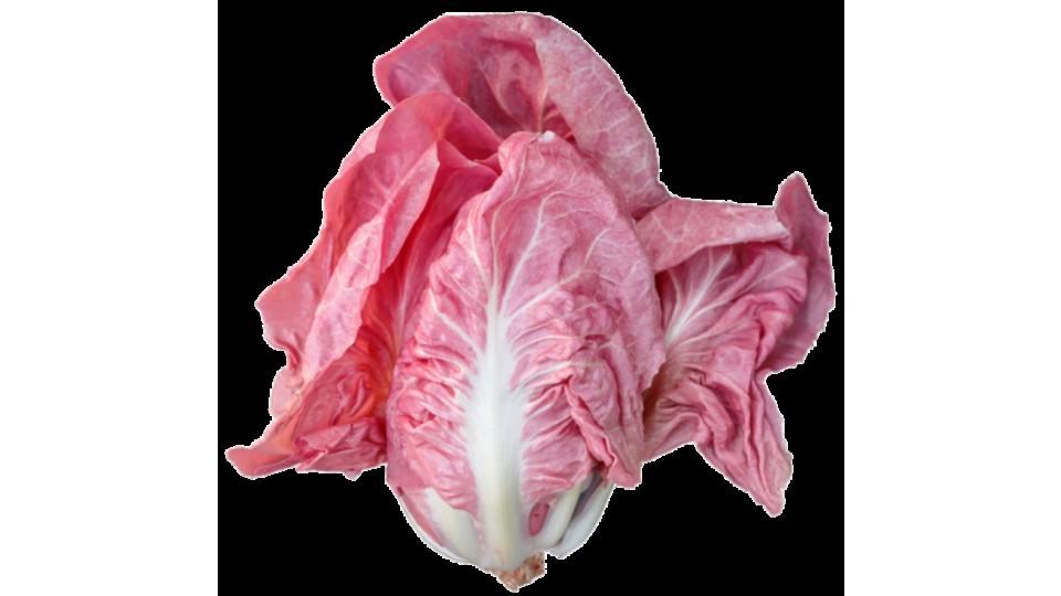Radicchio Rosa Locale