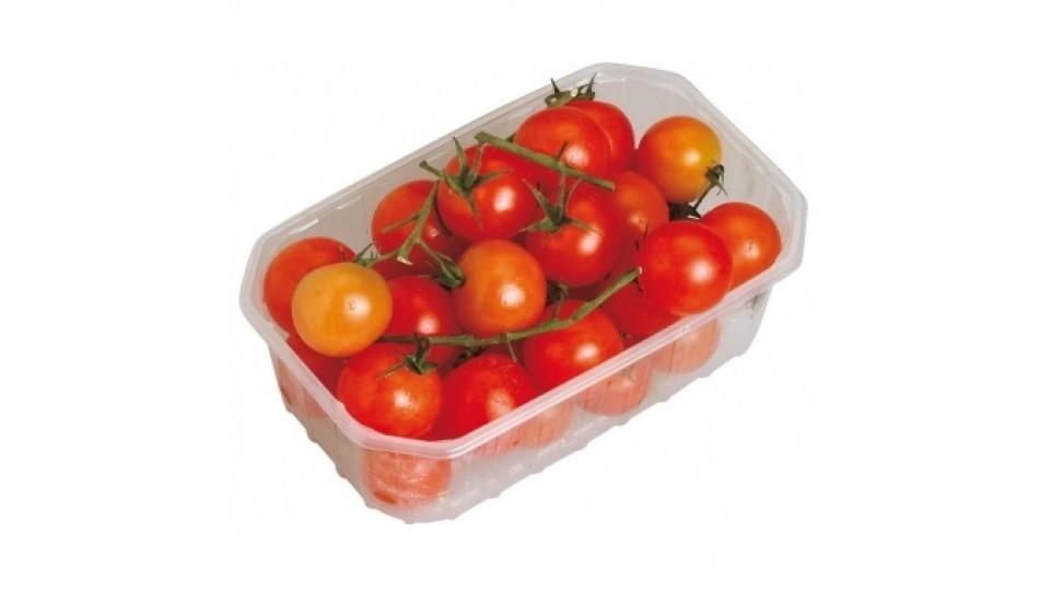 Pomodori Ciliegino Igp