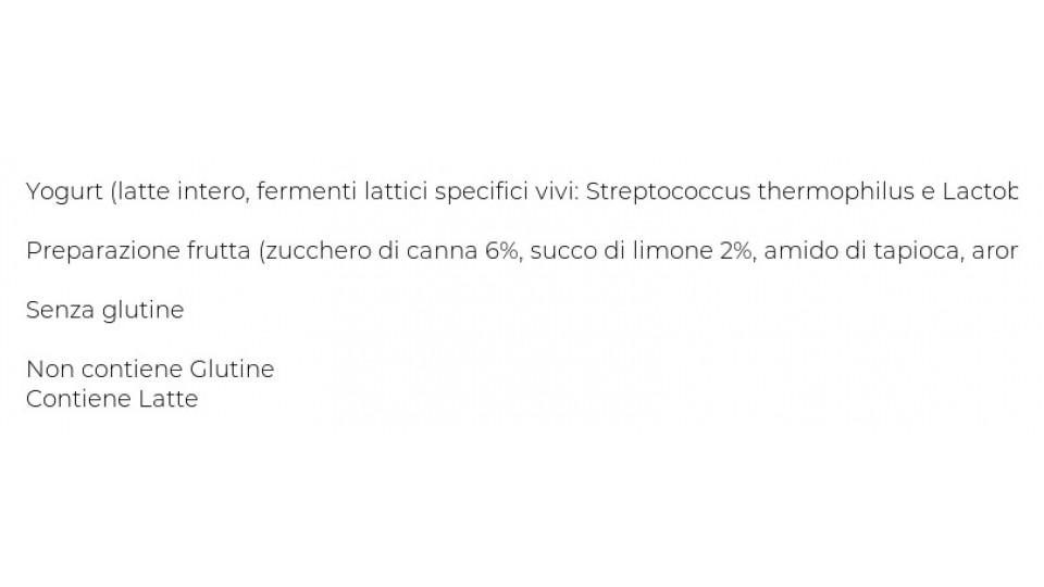 Natura Yogurt Intero con Limone 2 x 125 g
