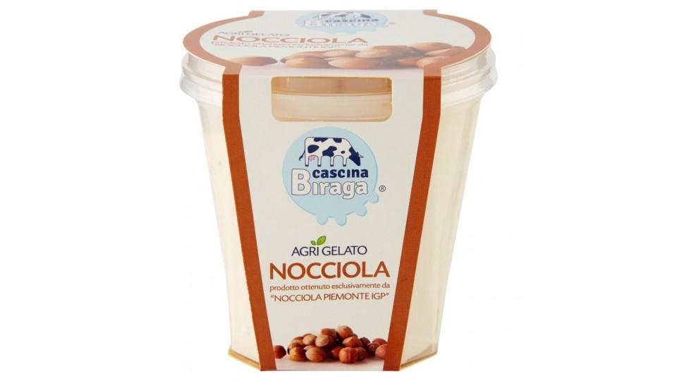 Agrigelato Nocciola Prodotto Ottenuto Esclusivamente da "nocciola Piemonte Igp"